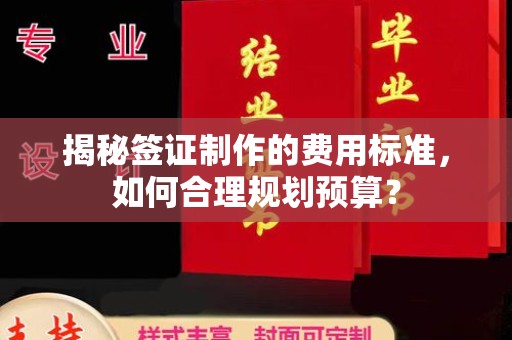 红桥揭秘签证制作的费用标准，如何合理规划预算？